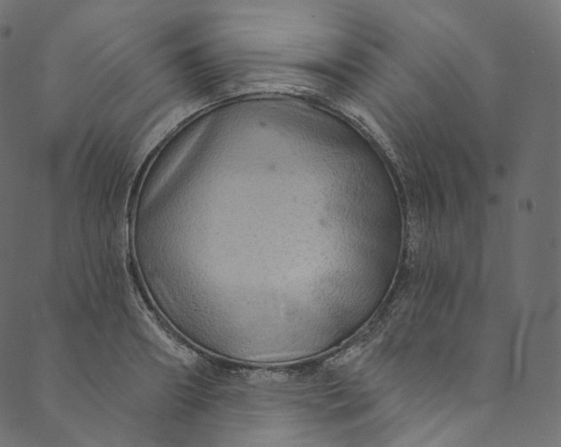 X0000089680890200707121246