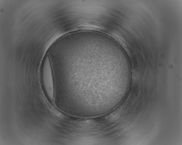 X0000089680891200707121246