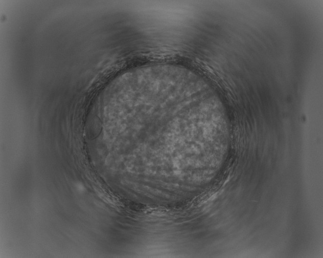 X0000089680913200707121245