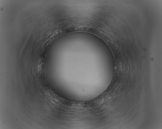 X0000089680914200707121245