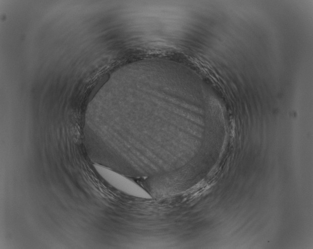 X0000089680916200707121245