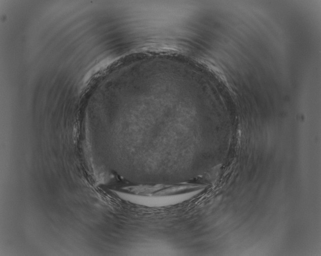 X0000089680920200707121245