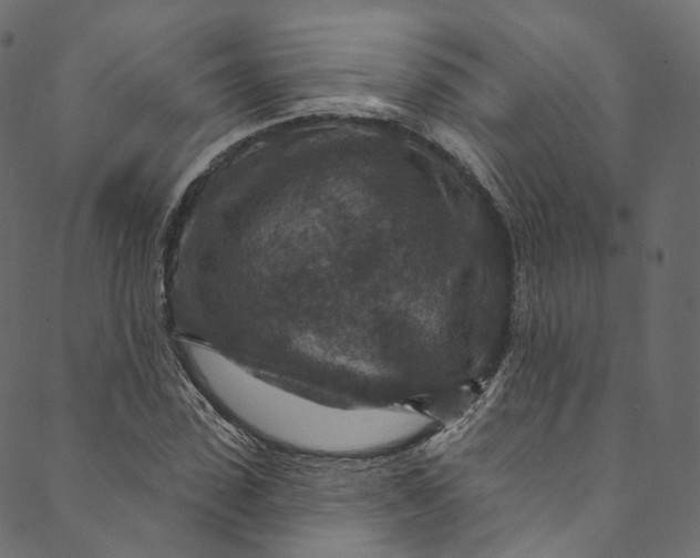 X0000089680923200707121245