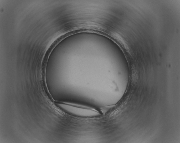 X0000089680924200707121245