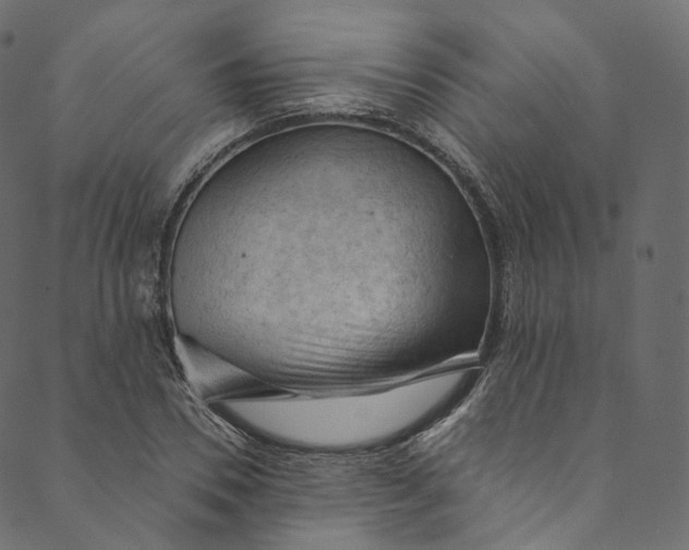 X0000089680930200707121245