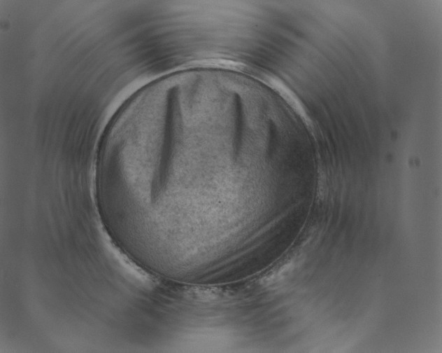 X0000089680955200707121245