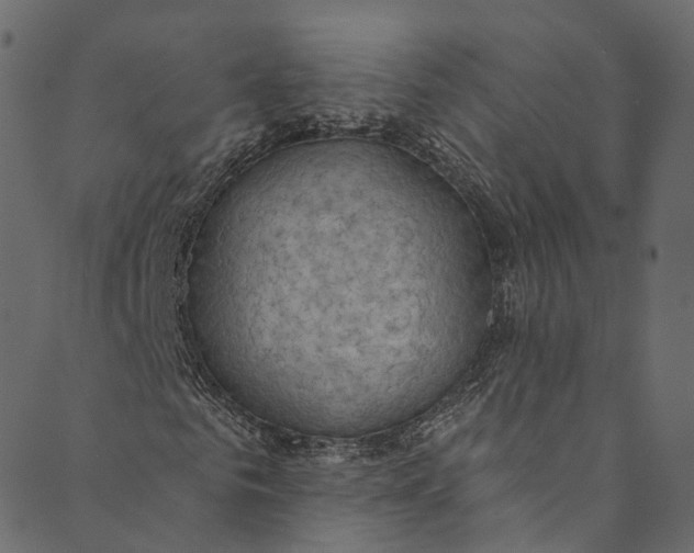 X0000089680961200707121245