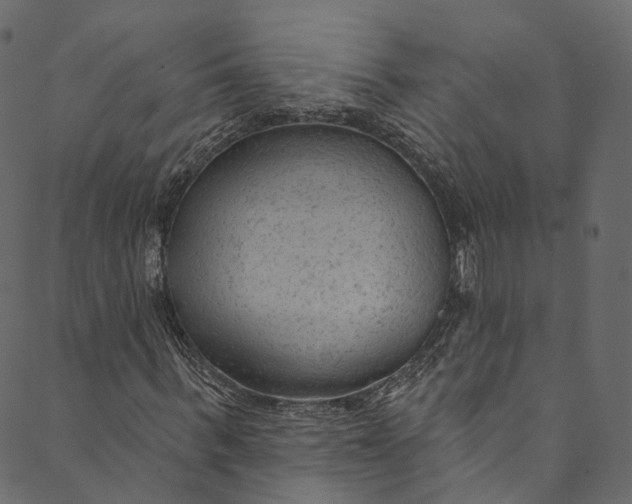 X0000089680963200707121245
