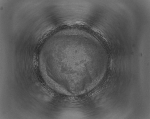 X0000089680966200707121245
