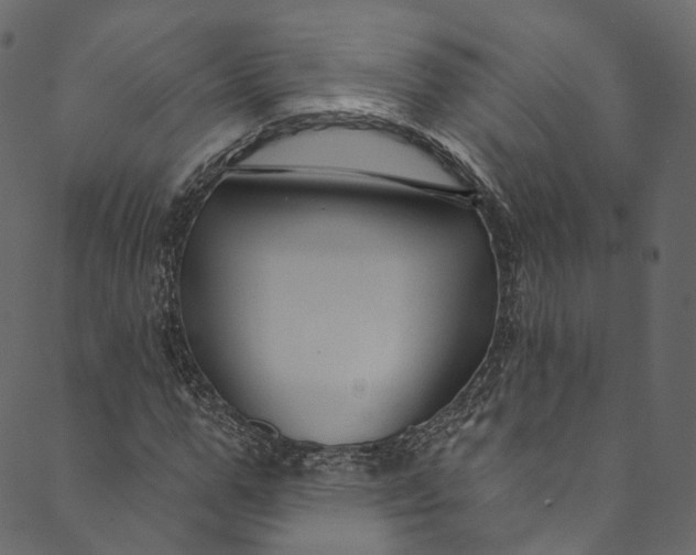 X0000089680967200707121245