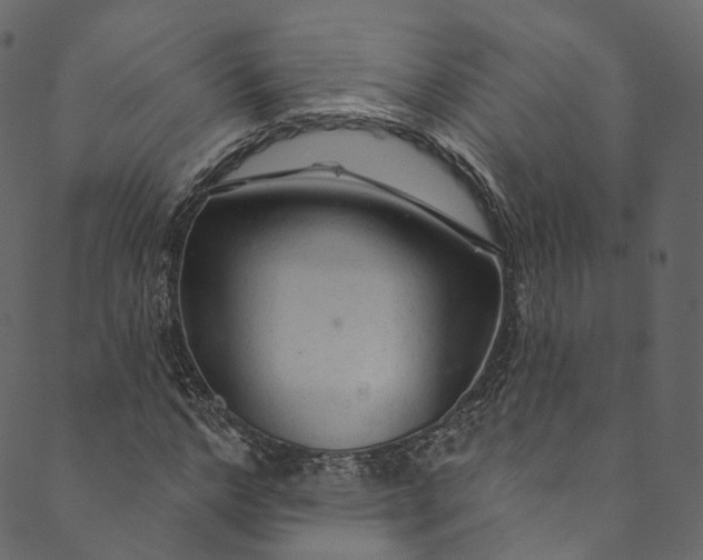 X0000089680968200707121245