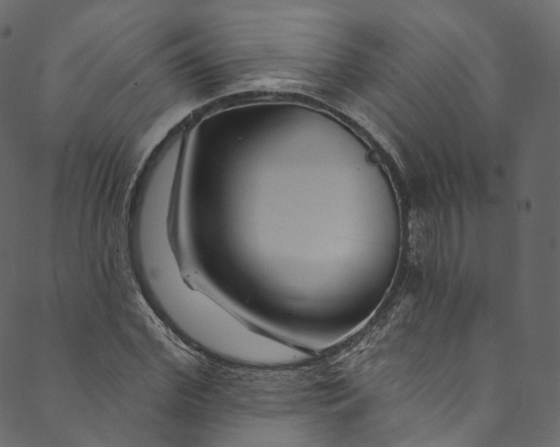 X0000089680972200707121245