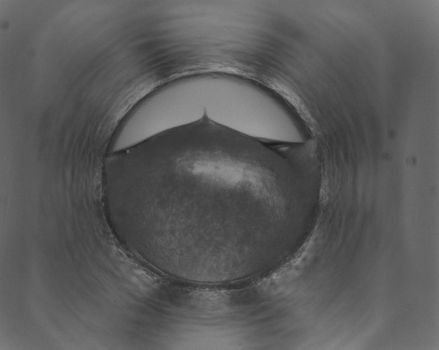 X0000089680977200707121245