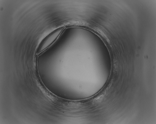 X0000089680981200707121244