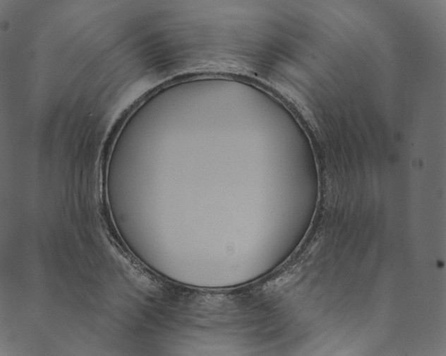 X0000089680982200707121244