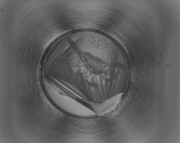 X0000089680983200707121244