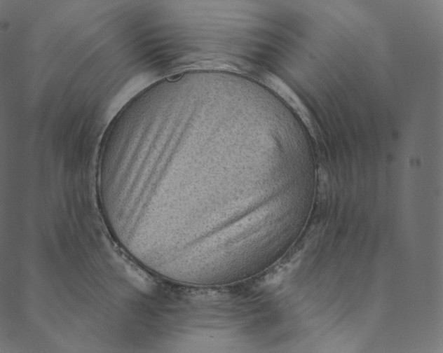X0000089681002200707121244