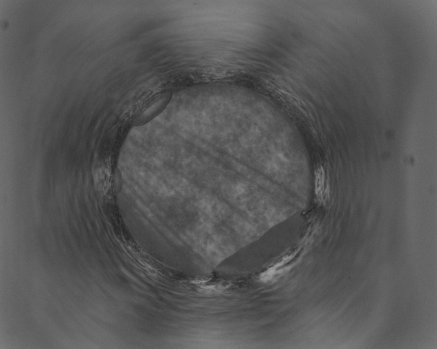 X0000089681011200707121243