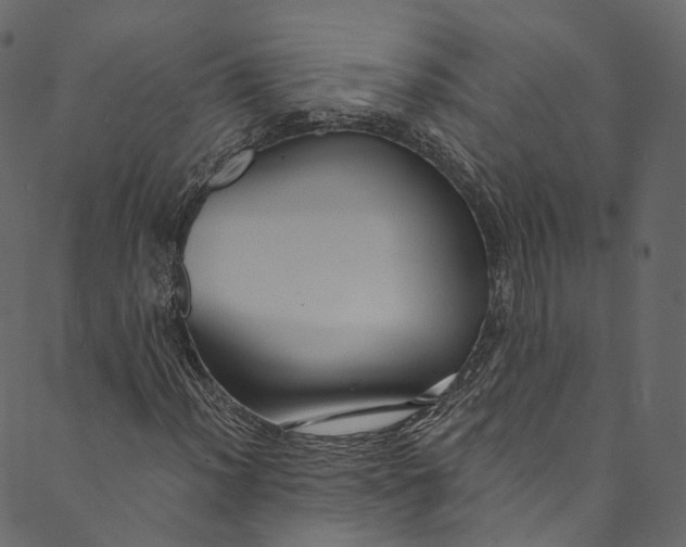 X0000089681012200707121243