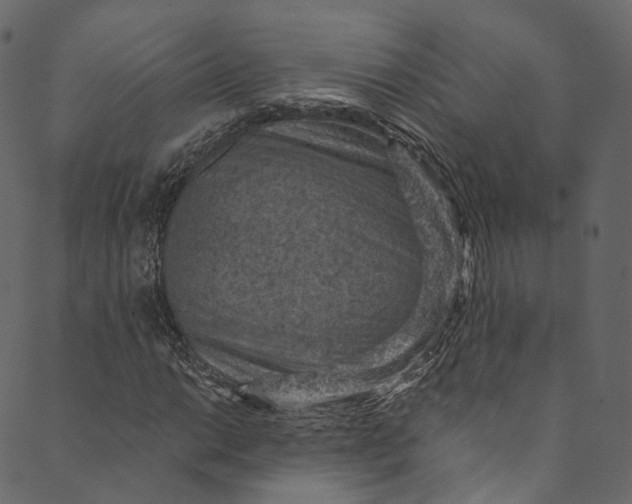 X0000089681014200707121243