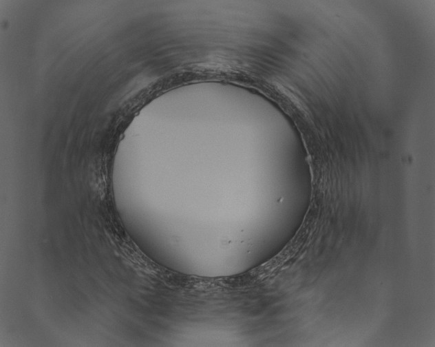 X0000089681015200707121243