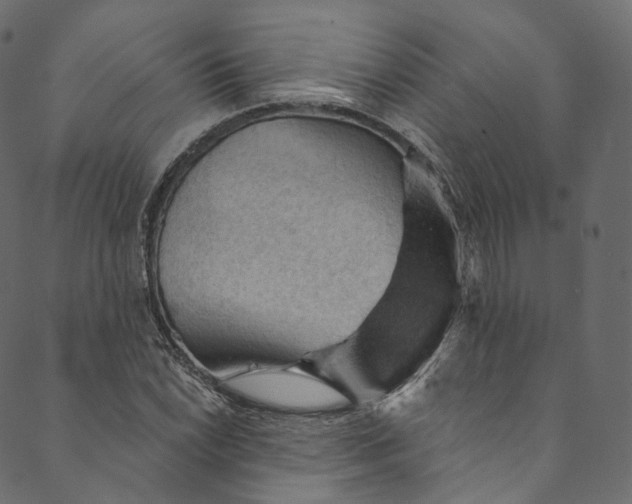 X0000089681022200707121243