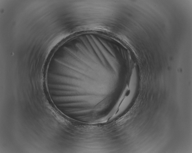 X0000089681024200707121243