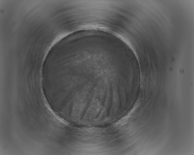 X0000089681045200707121244