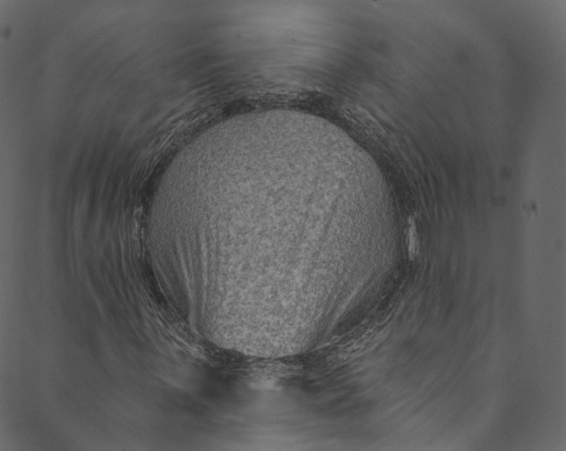 X0000089681059200707121243