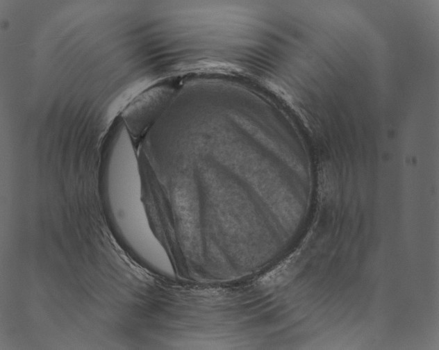 X0000089681066200707121243