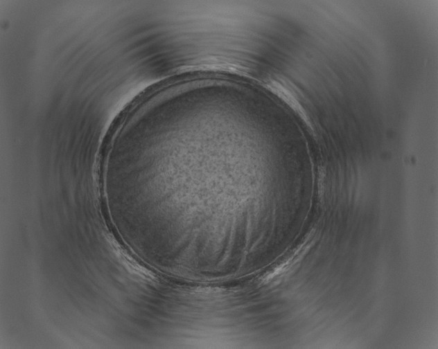 X0000089681068200707121243