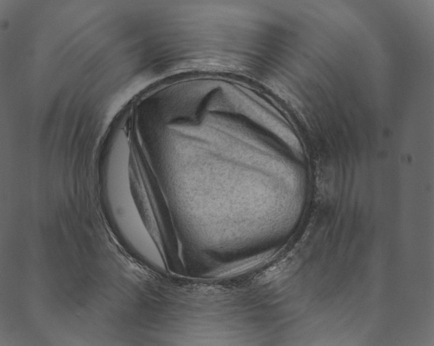 X0000089681070200707121243