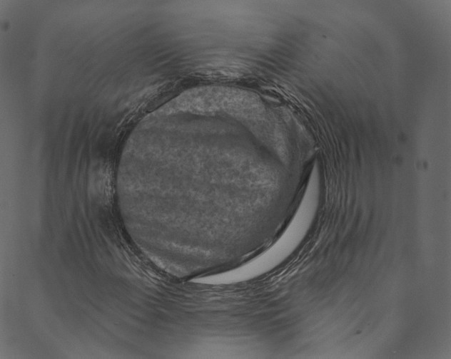 X0000089681108200707121242