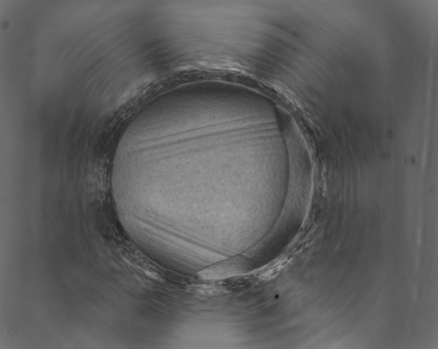 X0000089681110200707121242
