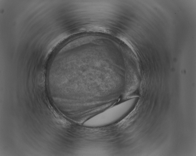 X0000089681115200707121242