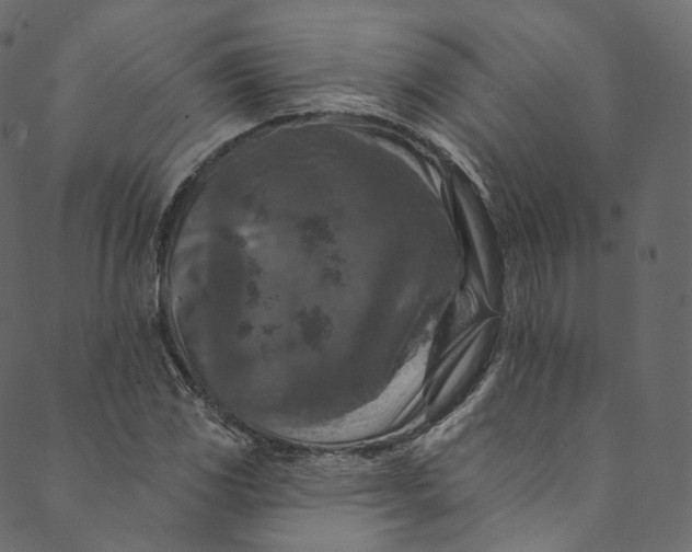 X0000089681117200707121242