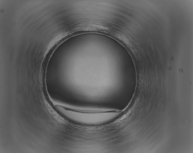 X0000089681122200707121242
