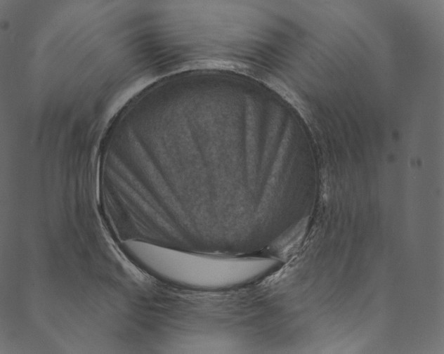 X0000089681127200707121242