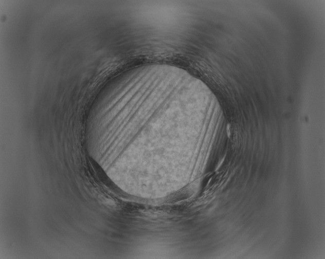 X0000089681153200707121242