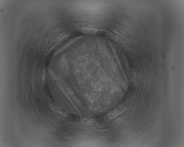 X0000089681154200707121242