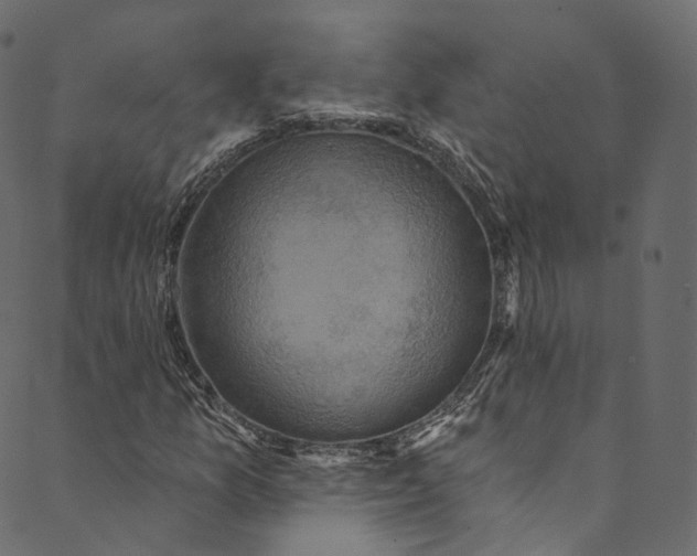 X0000089681157200707121242