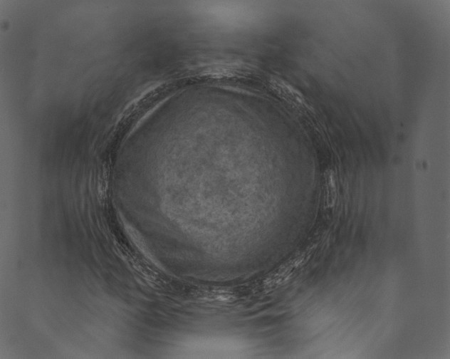 X0000089681158200707121242
