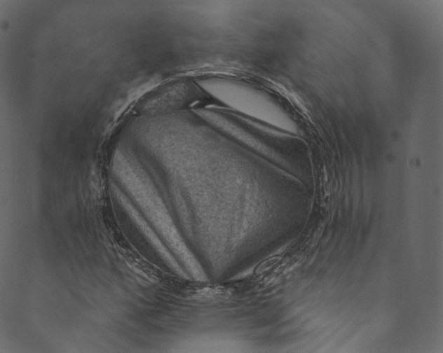 X0000089681160200707121242