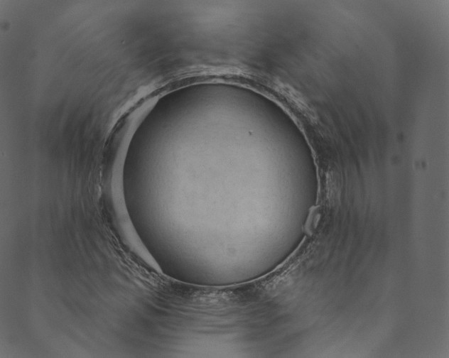 X0000089681165200707121241