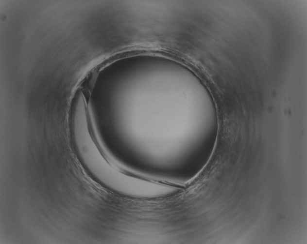 X0000089681168200707121241