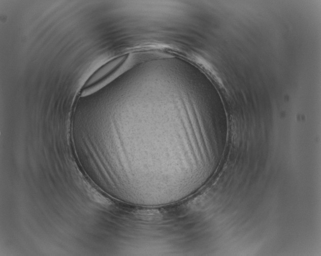 X0000089681186200707121241
