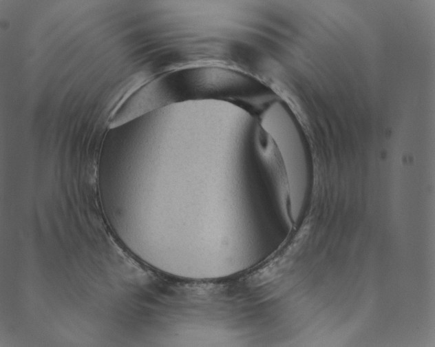 X0000089681193200707121241