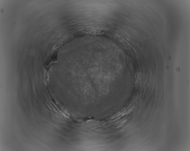 X0000089681202200707121240