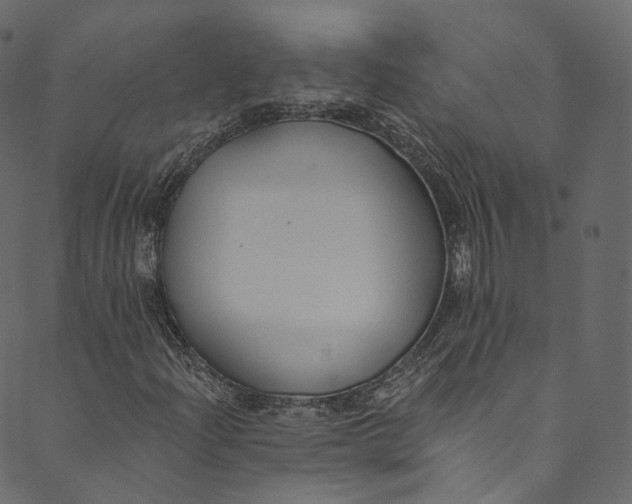 X0000089681204200707121240