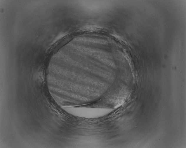 X0000089681206200707121240